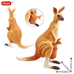 Oenux Classic Australian Wild Animals Kangaroos Koala Ostriches Mole Wombat Model Action Figure Figurine Education Toy Kid Gift