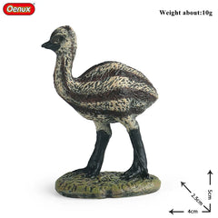Oenux Classic Australian Wild Animals Kangaroos Koala Ostriches Mole Wombat Model Action Figure Figurine Education Toy Kid Gift