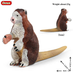 Oenux Classic Australian Wild Animals Kangaroos Koala Ostriches Mole Wombat Model Action Figure Figurine Education Toy Kid Gift