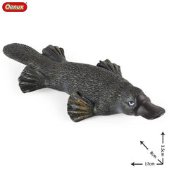 Oenux Classic Australian Wild Animals Kangaroos Koala Ostriches Mole Wombat Model Action Figure Figurine Education Toy Kid Gift