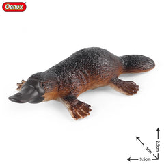 Oenux Classic Australian Wild Animals Kangaroos Koala Ostriches Mole Wombat Model Action Figure Figurine Education Toy Kid Gift