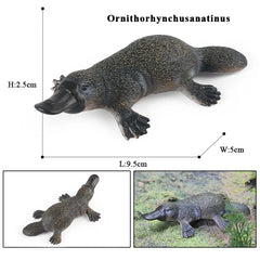 Oenux Classic Australian Wild Animals Kangaroos Koala Ostriches Mole Wombat Model Action Figure Figurine Education Toy Kid Gift