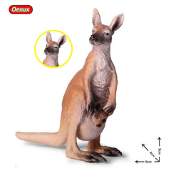 Oenux Classic Australian Wild Animals Kangaroos Koala Ostriches Mole Wombat Model Action Figure Figurine Education Toy Kid Gift