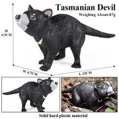 Oenux Classic Australian Wild Animals Kangaroos Koala Ostriches Mole Wombat Model Action Figure Figurine Education Toy Kid Gift