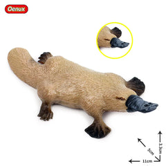 Oenux Classic Australian Wild Animals Kangaroos Koala Ostriches Mole Wombat Model Action Figure Figurine Education Toy Kid Gift