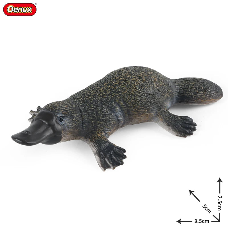 Oenux Classic Australian Wild Animals Kangaroos Koala Ostriches Mole Wombat Model Action Figure Figurine Education Toy Kid Gift