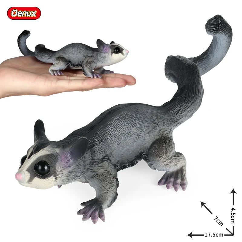Oenux Classic Australian Wild Animals Kangaroos Koala Ostriches Mole Wombat Model Action Figure Figurine Education Toy Kid Gift