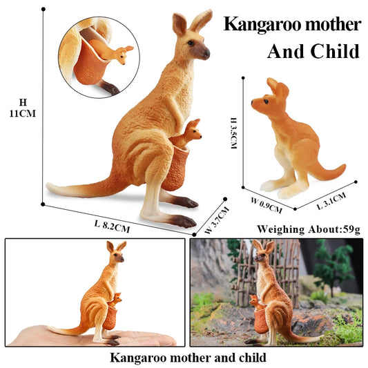 Oenux Classic Australian Wild Animals Kangaroos Koala Ostriches Mole Wombat Model Action Figure Figurine Education Toy Kid Gift