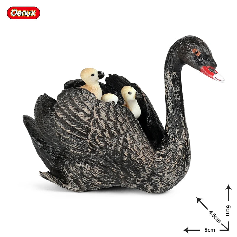 Oenux Classic Australian Wild Animals Kangaroos Koala Ostriches Mole Wombat Model Action Figure Figurine Education Toy Kid Gift